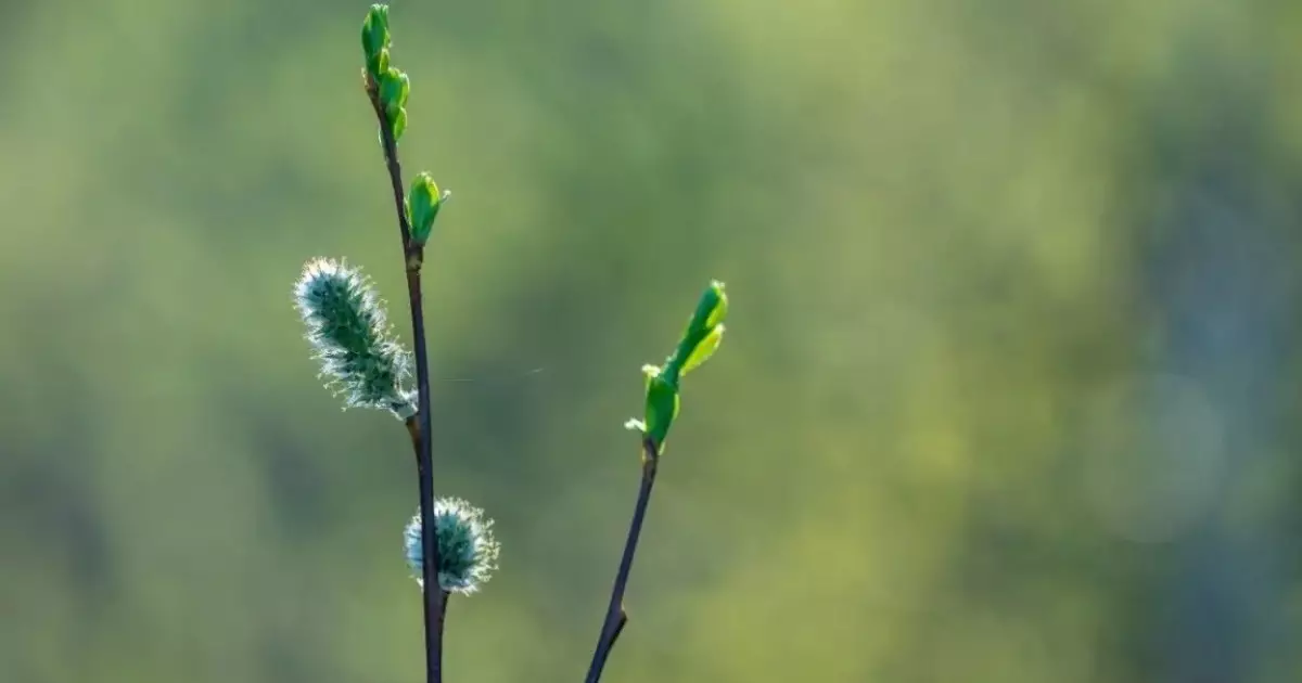  Қазақстанның 14 облысы мен Алматыда дауылды ескерту жарияланды 