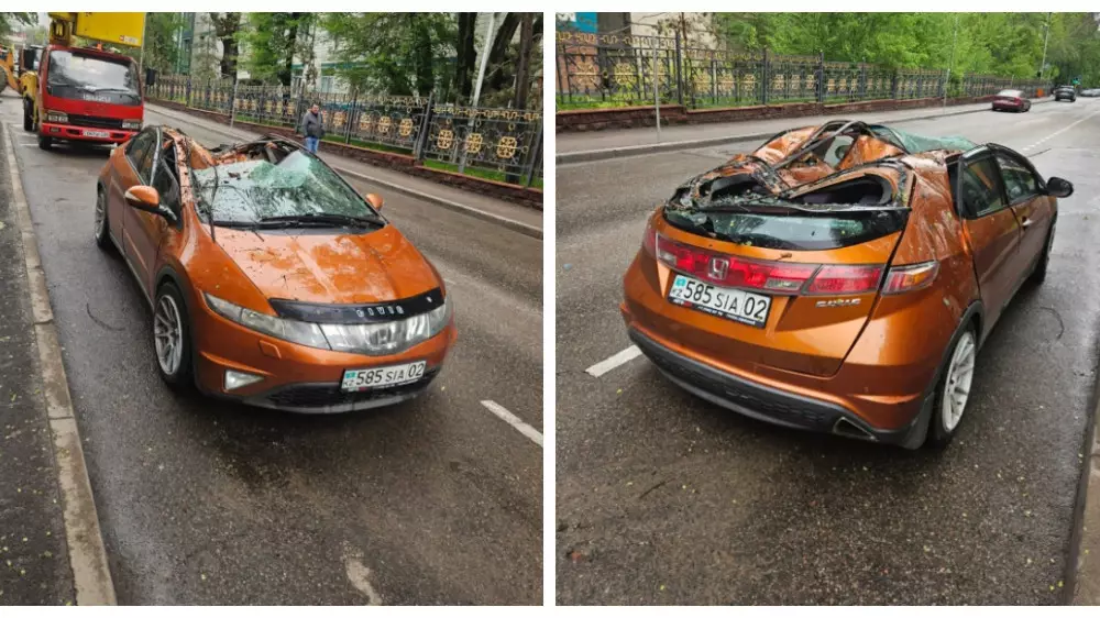 Алматыда жолда тұрған көліктің үстіне ағаш құлады