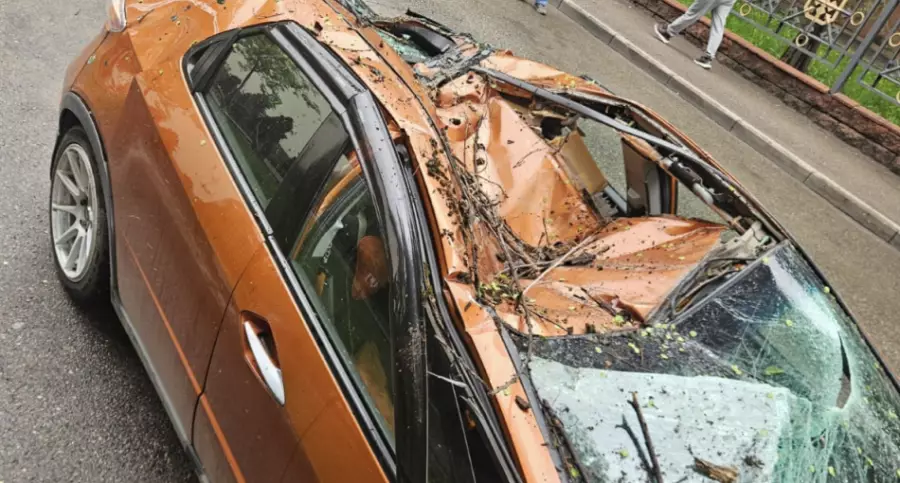 Алматыда көшеде тұрған көліктің үстіне ағаш құлады