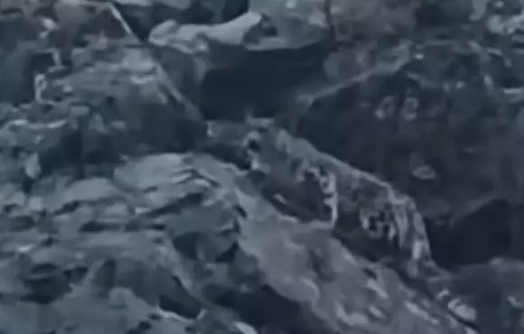 “Сирек әрі аса құнды кадр“. Жетісуда қар барысы видеоға түсіп қалды