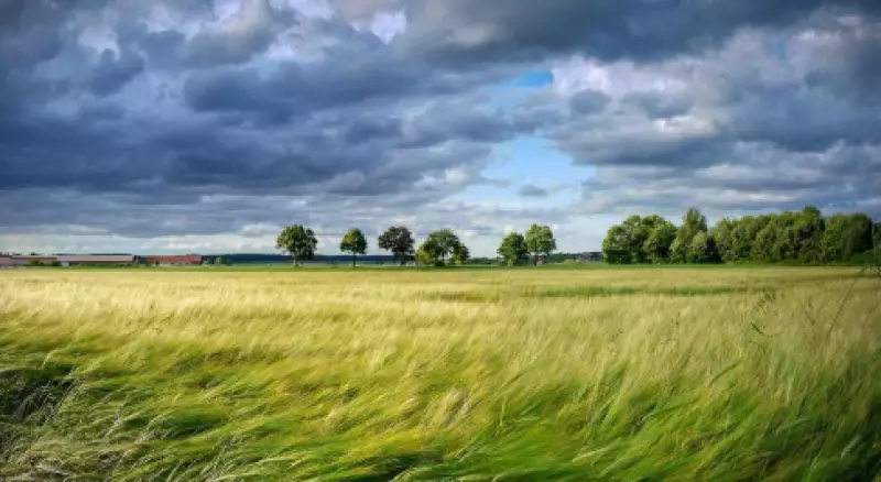Сильный ветер, туман и грозы накроют регионы Казахстана
