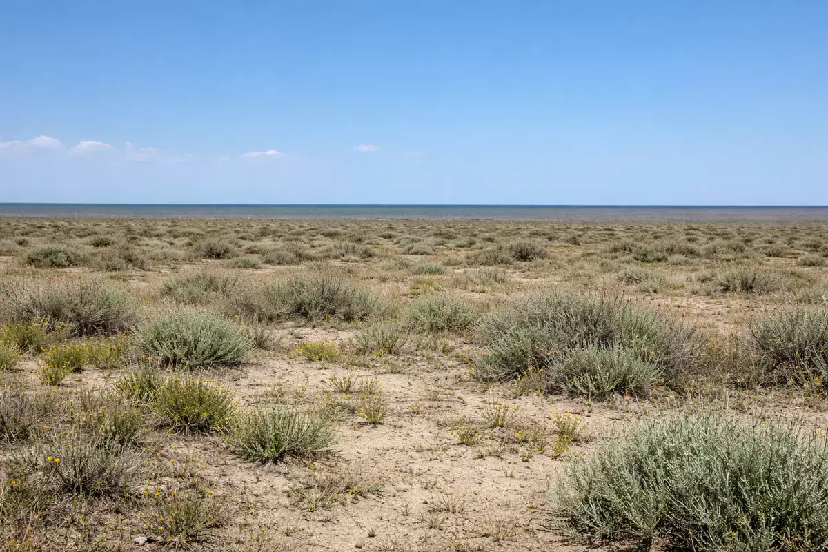 После непогоды в Мангистау дроны ищут пропавший скот - новости на Lada.kz 19.04.2026