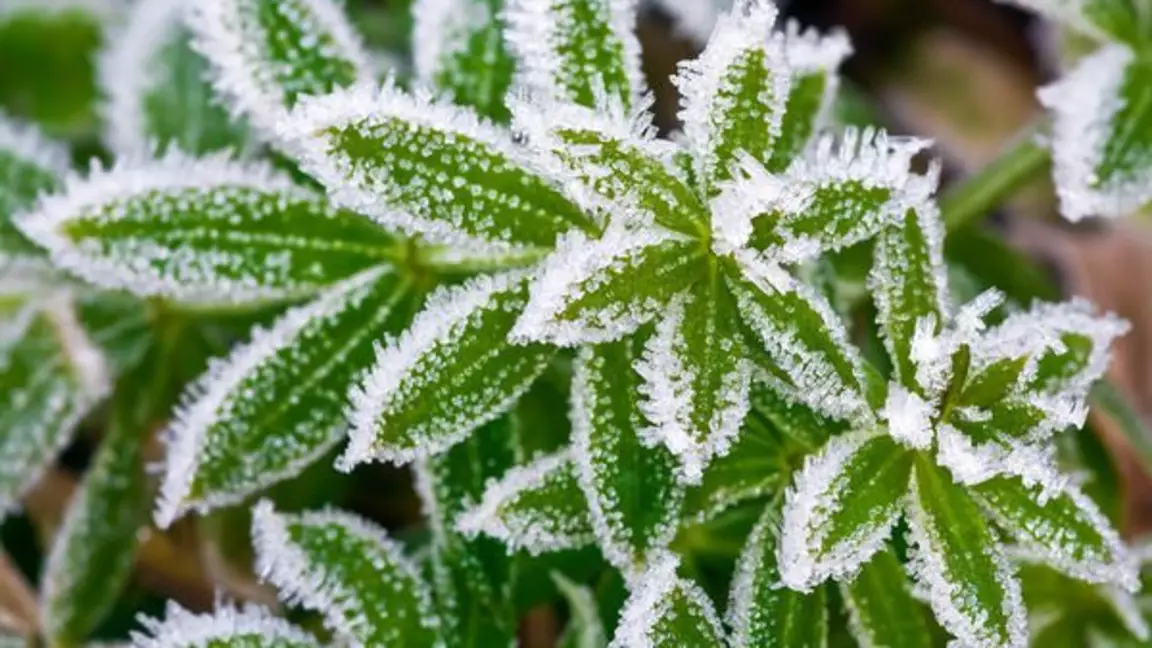 20 сәуірде ауа райы қандай болады?