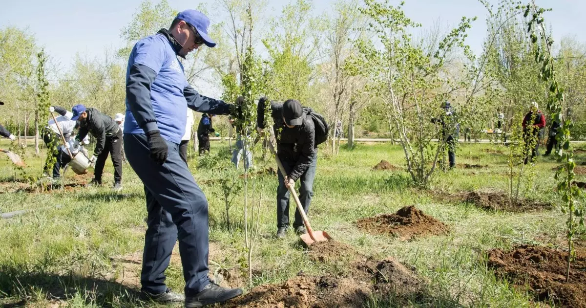  Кеншілер мен металлургтер Жезқазғанда 150 түп ағаш отырғызды 