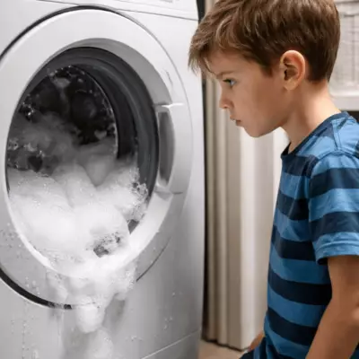 Живого котёнка прокрутили в стиральной машине: мать винит собственного сына