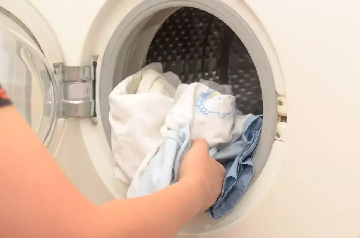 Казахстанцы возмущены штрафом семье, которая постирала кота в стиральной машине