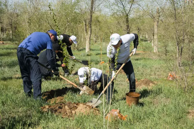 Шахтеры и металлурги высадили 150 деревьев в Жезказгане в рамках акции «Таза Қазақстан»