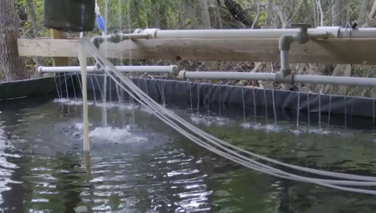 Аквашаруашылыққа қолдау бар