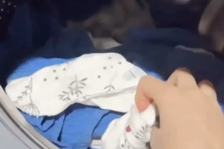 Семейде мысық кір жуатын машинада жуылып, өліп қалған: иесі жауапқа тартылды