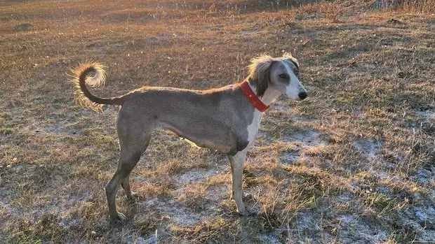 Новый праздник появится в календаре Казахстана