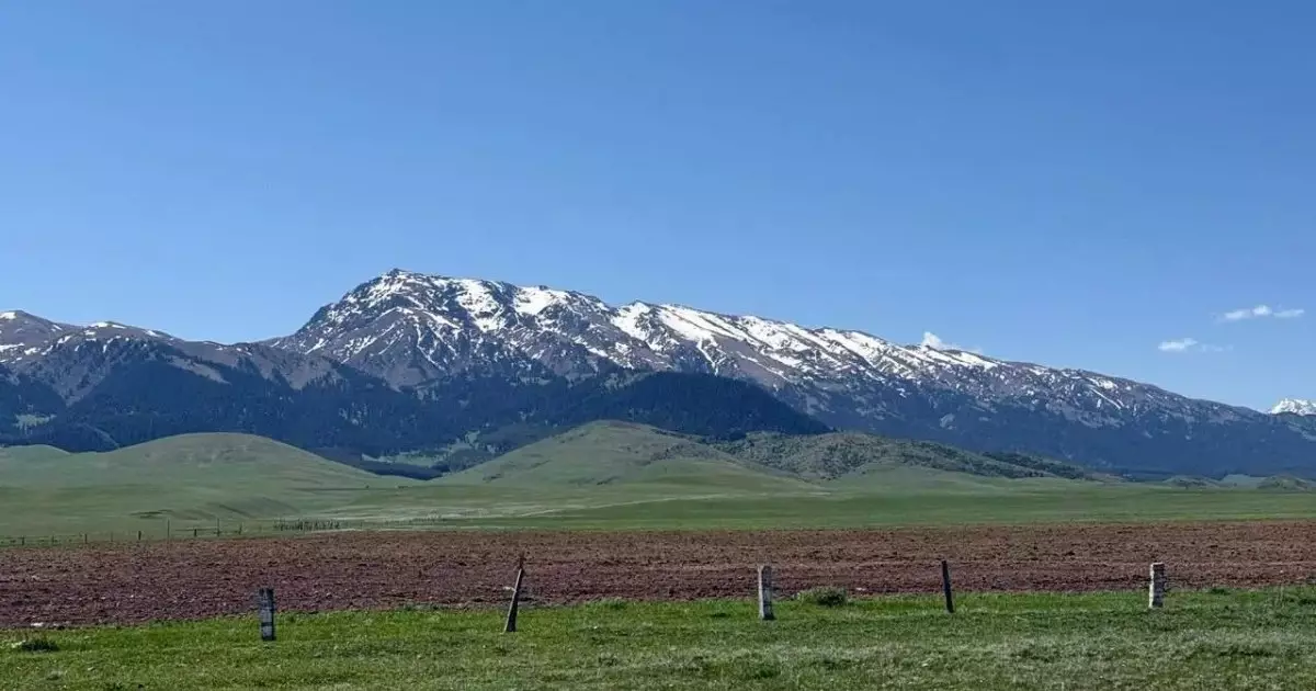  Қазақстанда тегін жер учаскелері беріледі: алу үшін не істеу керек? 