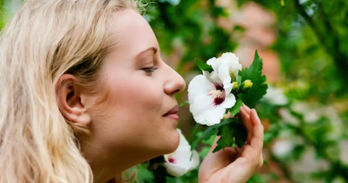  Гүл иіскеймін деп уланып қалмаңыз: флористер сізге айтпай құпия дерек мәлім болды (ВИДЕО) 