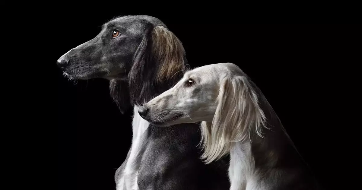  Елімізде ерекше мереке пайда болмақ 