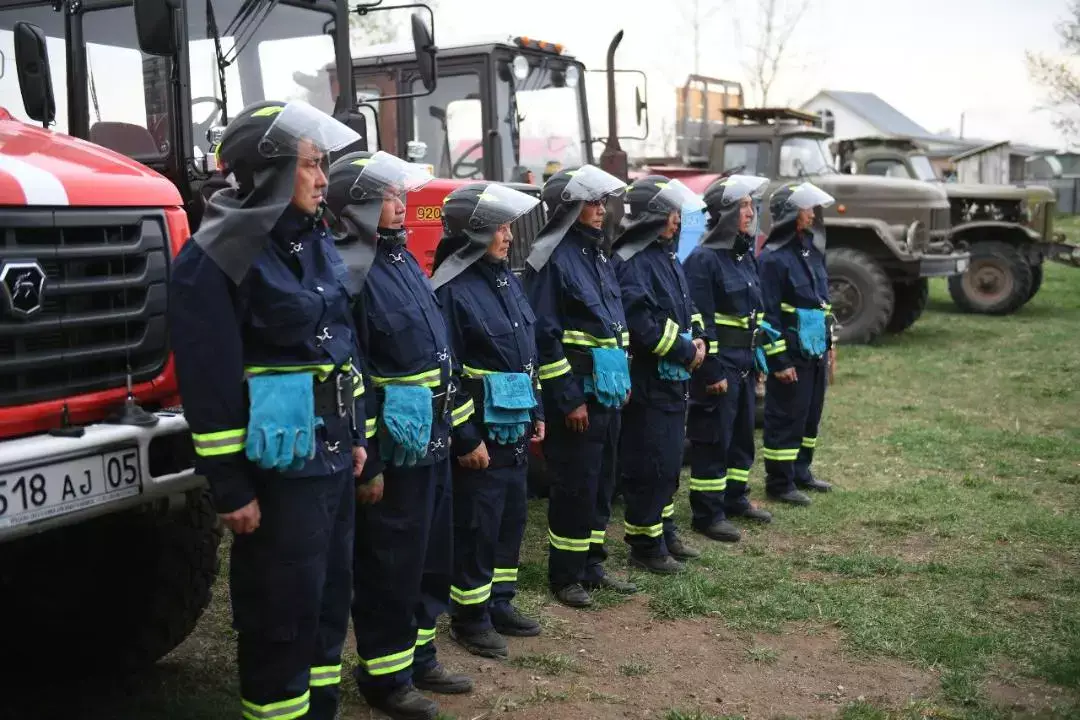 Алматы облысында орман қоры ұлғаюда