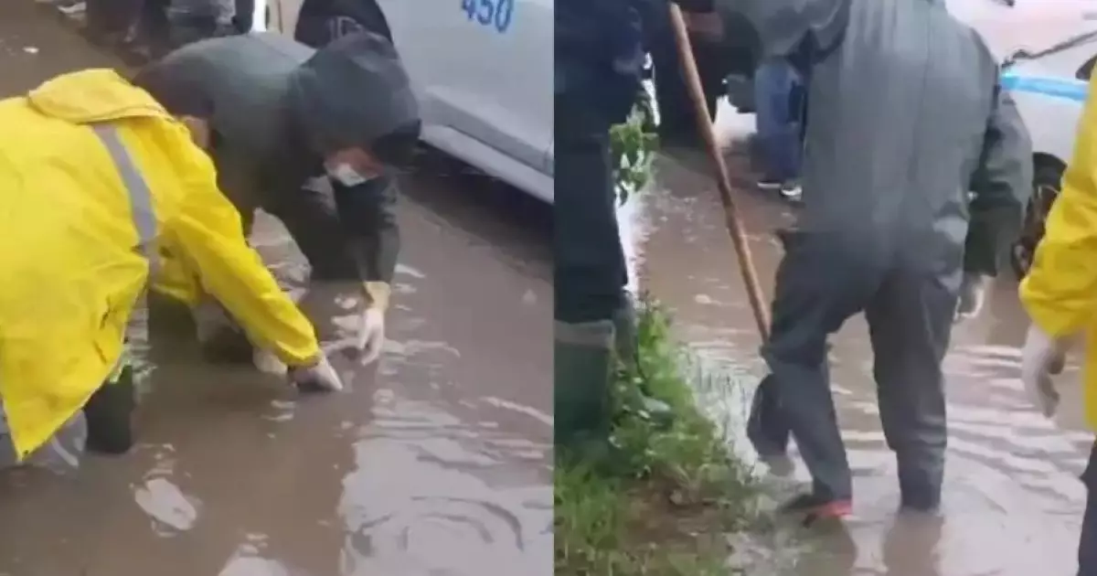  Алматыда арықтан ер адамның мәйіті табылды 