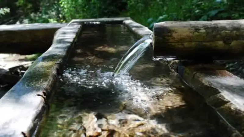 Жуткую находку в арыке обнаружили алматинские коммунальщики