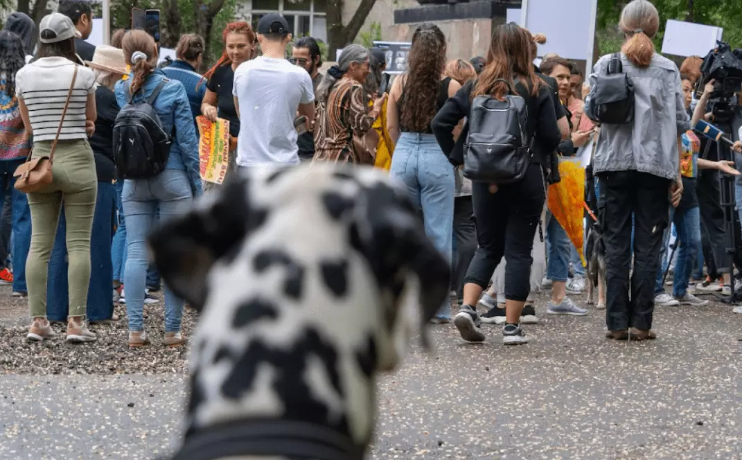 Санкционированный митинг против убийства животных сорвали в Аркалыке
