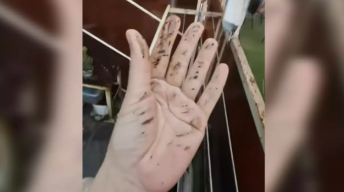 После атак ВСУ на Туапсе жители сообщили о «нефтяном дожде»