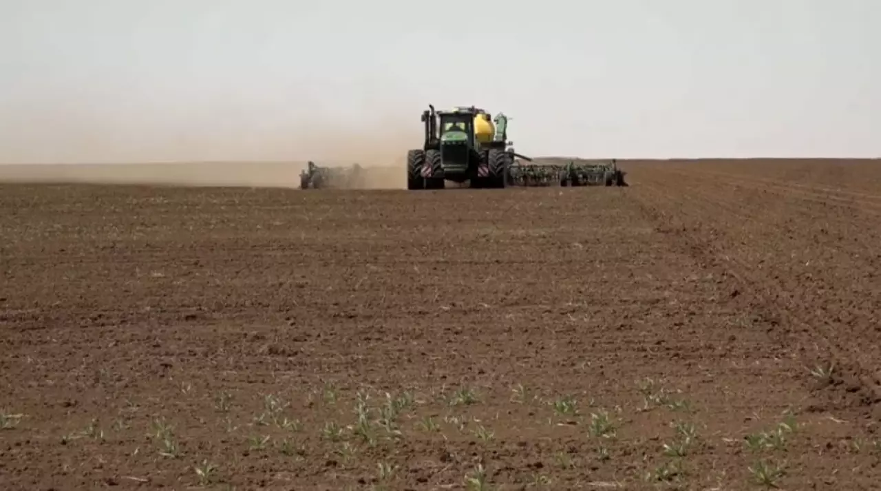 Қарағанды облысында майлы дақылдар алқабы ұлғаяды