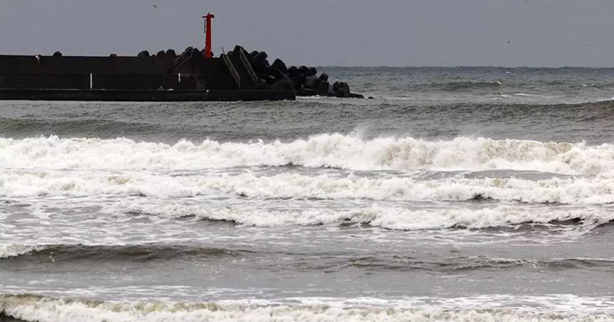  Цунами қаупі бар: Жапонияда қуатты жер сілкінісі болды 