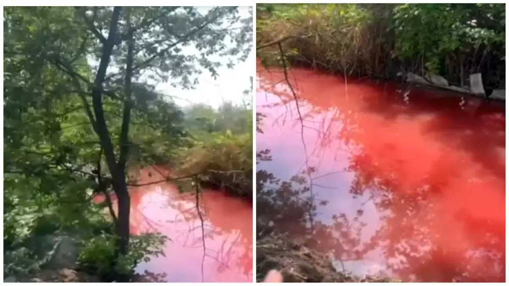 Вода в канале окрасилась в красный цвет на окраине Тараза