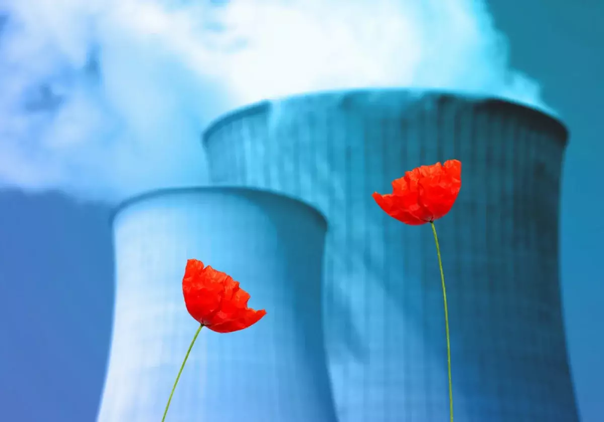 Қазақстанда екінші АЭС-тің атауы анықталды