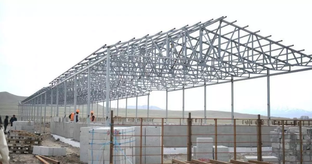  Алматы облысында жылына 2 мың тоннадан астам жүн өңдейтін зауыт салынады 