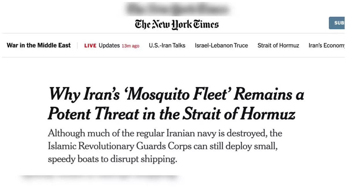 NYT: США не могут уничтожить иранскую "флотилию москитов" в Ормузском проливе