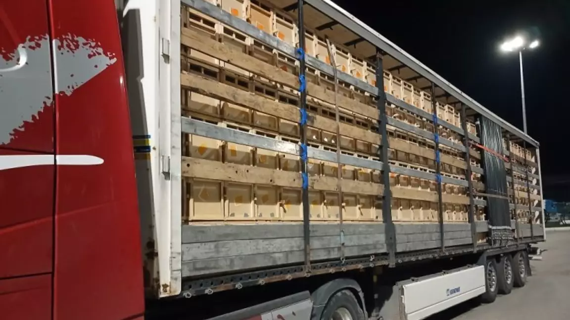 ⁠ ⁠Ресей 280 тоннаға жуық қазақстандық өнімді өткізбей қойды