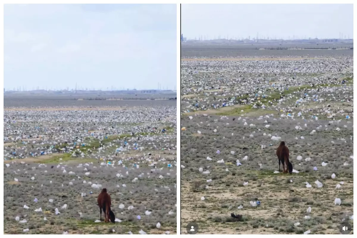 Желіде Маңғыстау облысындағы қоқыс толған далада түсірілген видео жұртты шошытты (видео)