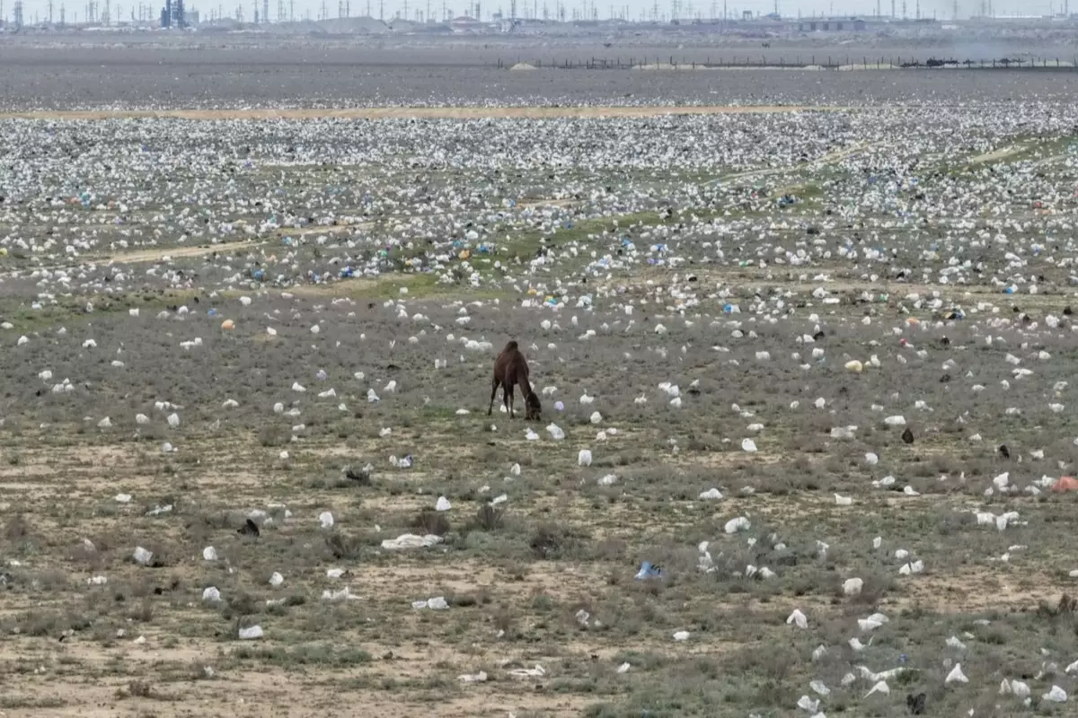"В чем смысл акции Таза Қазақстан?" Блогер снял на видео усеянную мусором степь