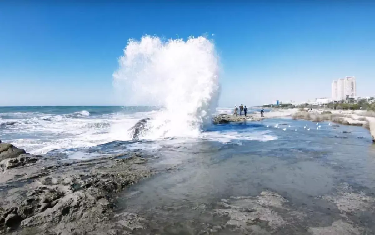 Раскрыты подробности масштабного экологического проекта по Каспийскому морю - новости на Lada.kz 21.04.2026