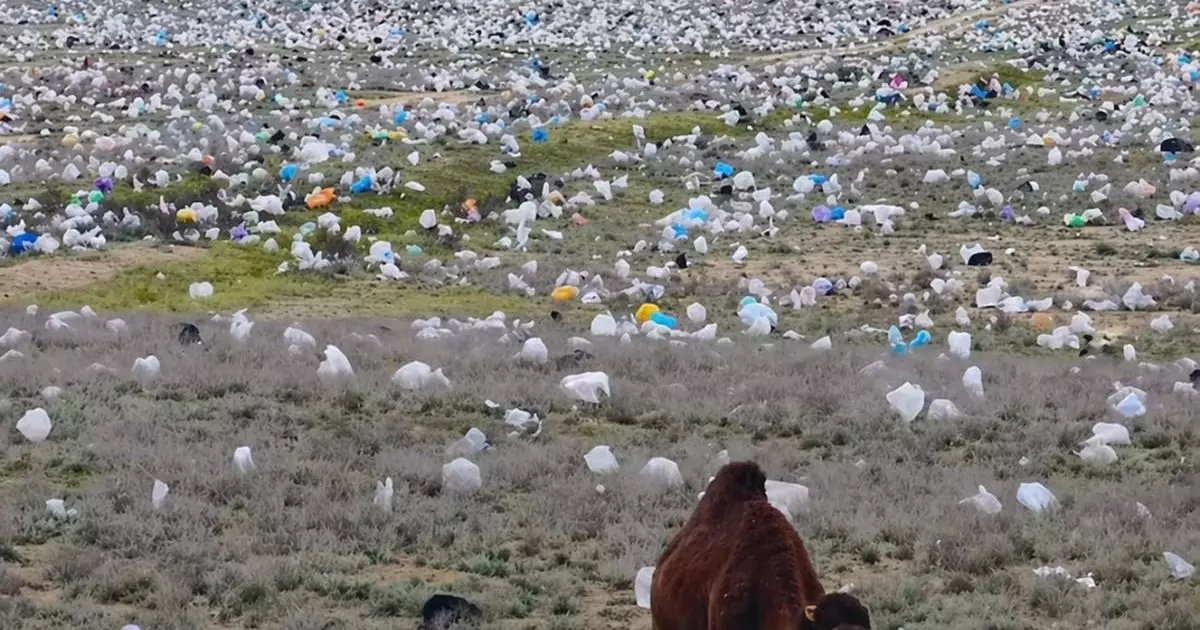  “Таза Қазақстан”: Қилыбай Тоқаевтың тапсырмасын орындай алмай отыр ма? 