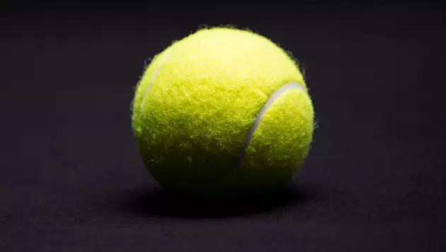 Экс-второй ракетке мира повесили баранку на турнире с участием Рыбакиной