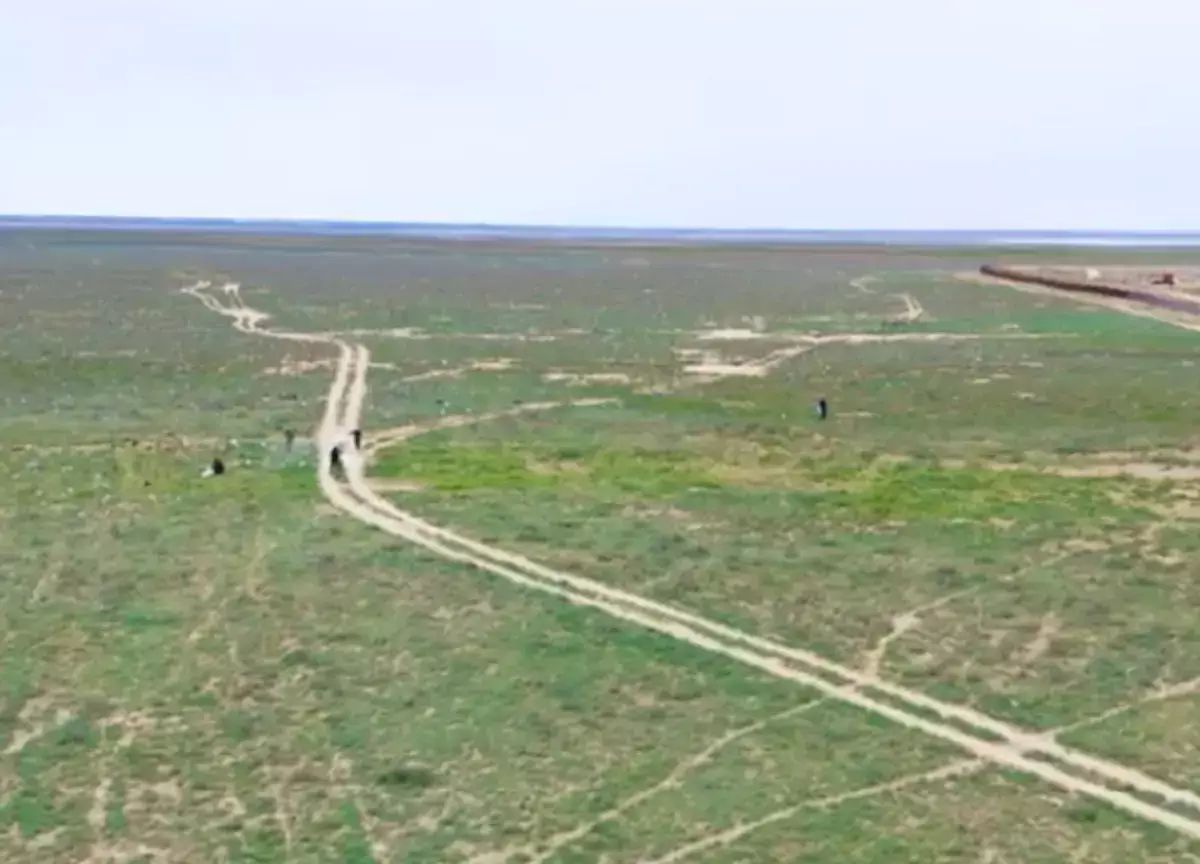 Власти объяснили свалку посреди степи в Мангистау технологическими и природными факторами - новости на Lada.kz 21.04.2026