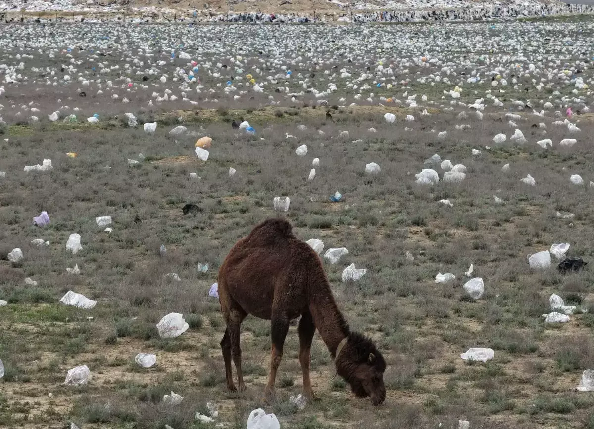 Усеянную мусором степь снял на видео блогер из Актау - новости на Lada.kz 21.04.2026