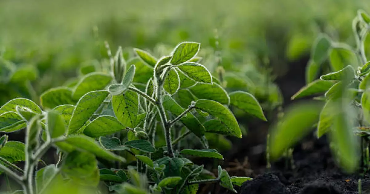   Жаңбыр, бұршақ жауады, үсік жүреді: 22 сәуірде ауа райына байланысты ескерту жарияланды   