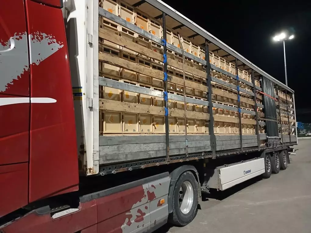 На Южный Урал не пустили тонны мороженого и сотни ульев из Казахстана.