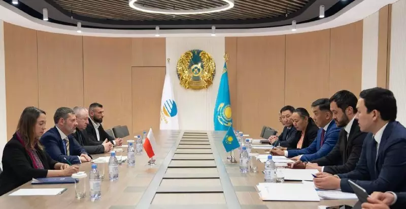 Казахстан, Польша и Центр экономических исследований изучают расширение сотрудничества по Среднему коридору.