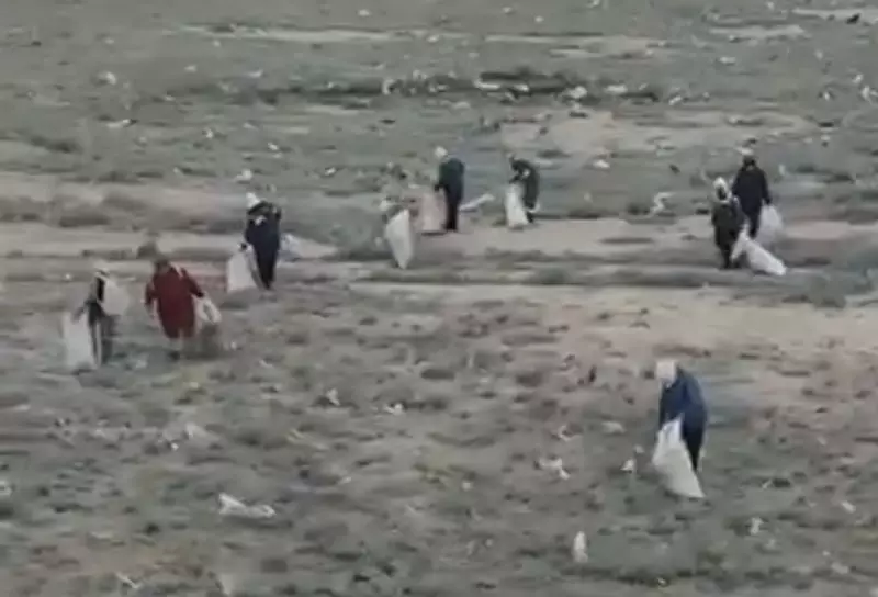 Верблюд среди мусора: в степи Мангистау начали уборку