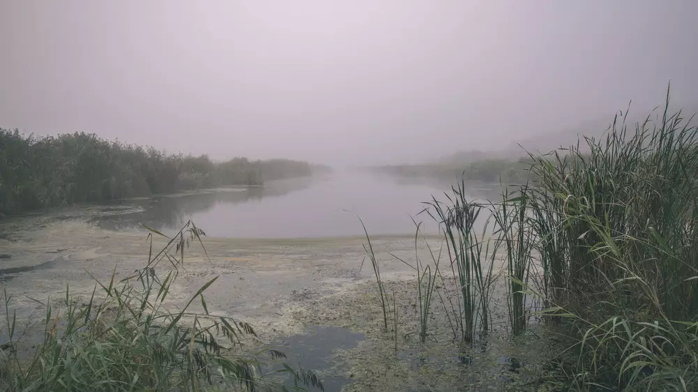Женщину спасли от страшной смерти в трясине в Павлодарской области
