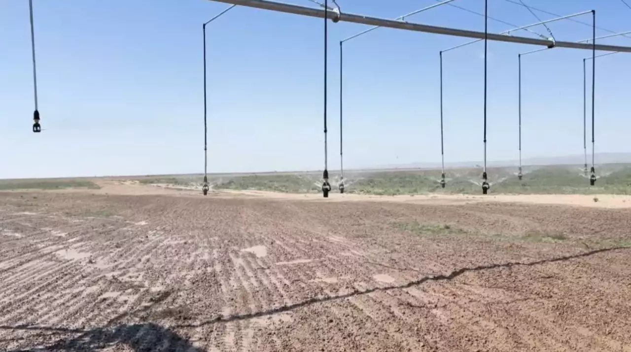 Жетісу облысында су үнемдеу технологиясы енгізіледі