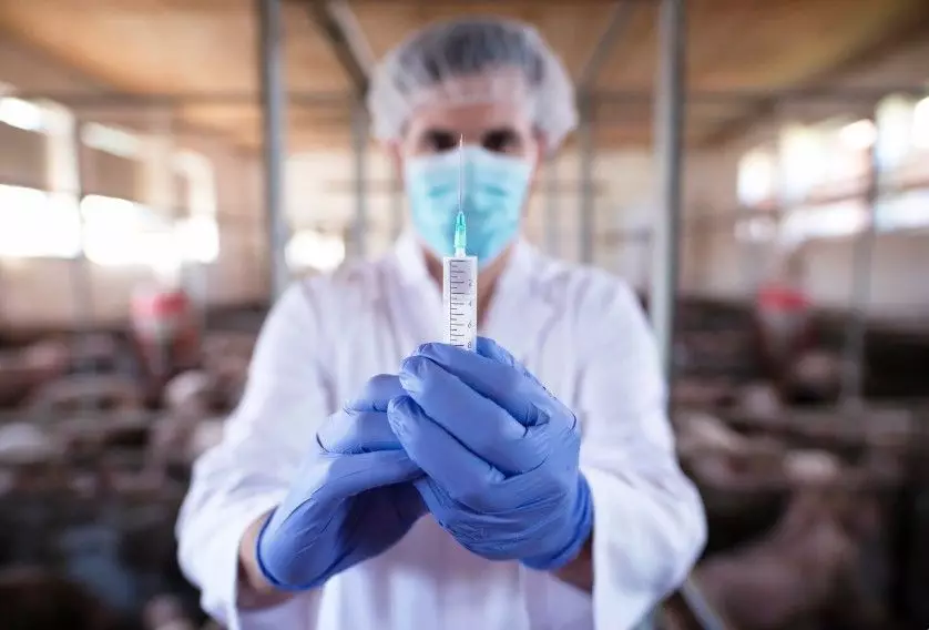 Казахстан готов поставлять в Монголию вакцины для скота.