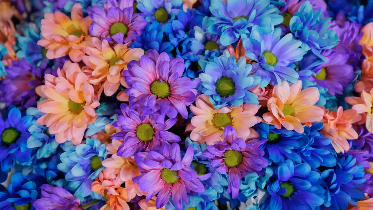 Флористика будущего: изобретения, которые уже сегодня экономят ресурсы и сохраняют природу