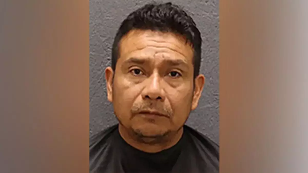 Иммиграционная полиция задержала нелегального мигранта, обвиняемого в сексуальном насилии над несовершеннолетней после родов на парковке больницы.