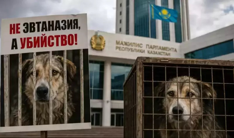 Жанбыршин нашёл виноватых: почему, по его версии, не работает ОСВВ