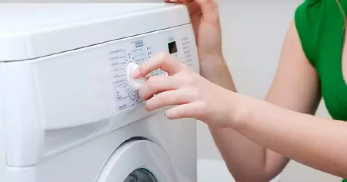  Кір жуғыш машинада үй жануары жуылып, қайғылы оқиға орын алды 