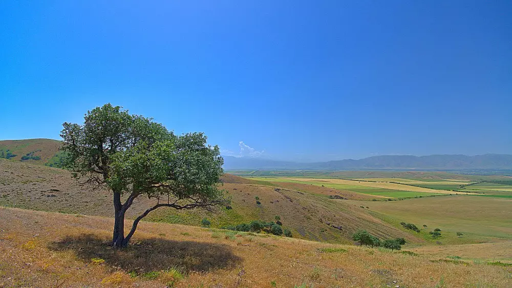 Қазақстанда 32 градусқа дейін ыстық болады