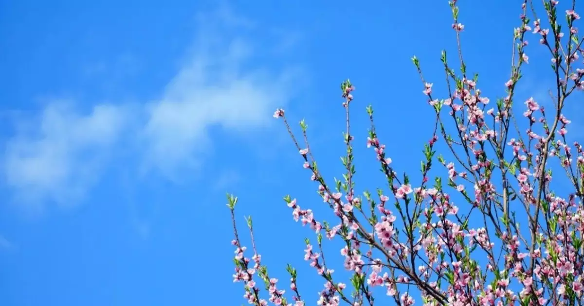  Қазақстанда алдағы үш күнде 32 градусқа дейін ыстық болады 