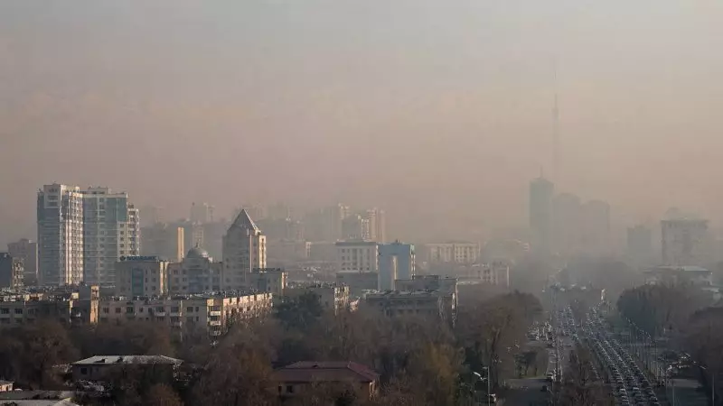 Странам Центральной Азии предложили объединиться против смога